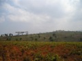 On the way to Mkumbi